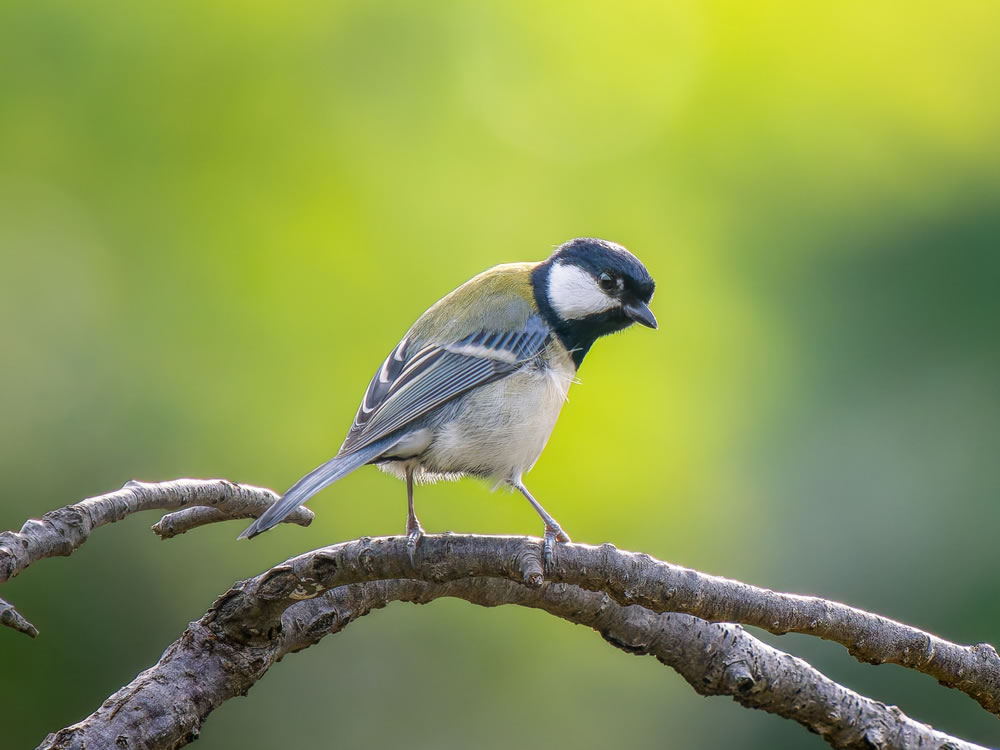 千葉県立館山野鳥の森